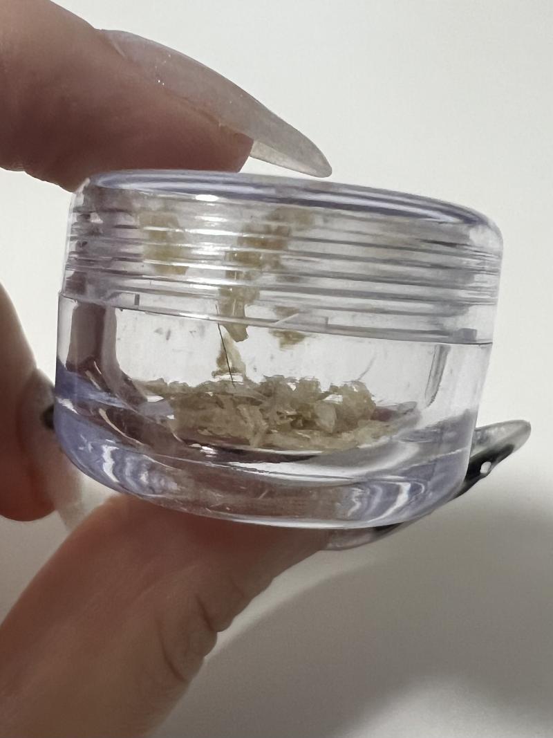 出品者名-写真-1