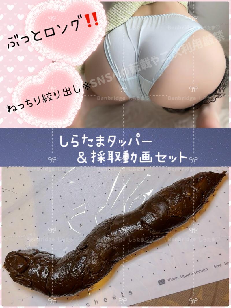 出品者名-写真