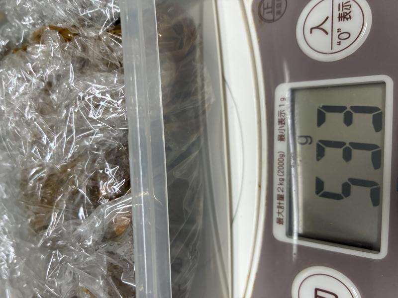 出品者名-写真-1