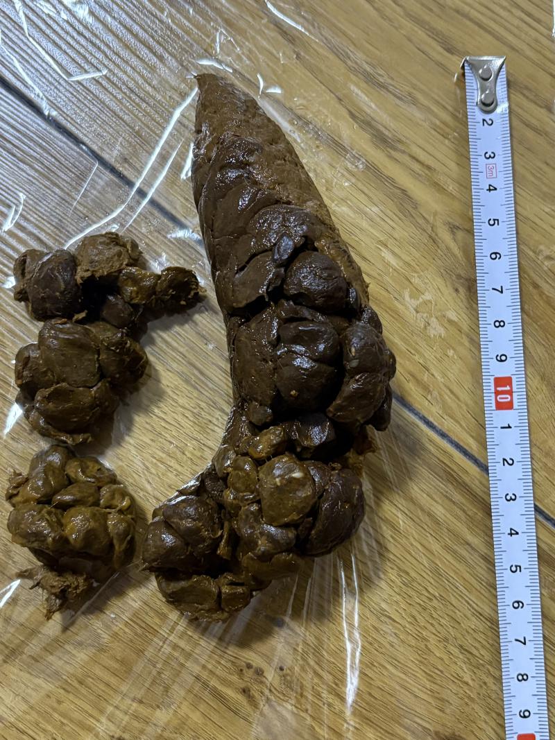 出品者名-写真-1