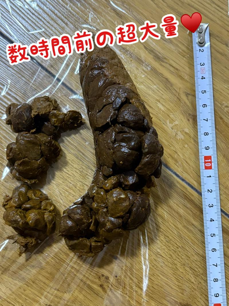 出品者名-写真-1