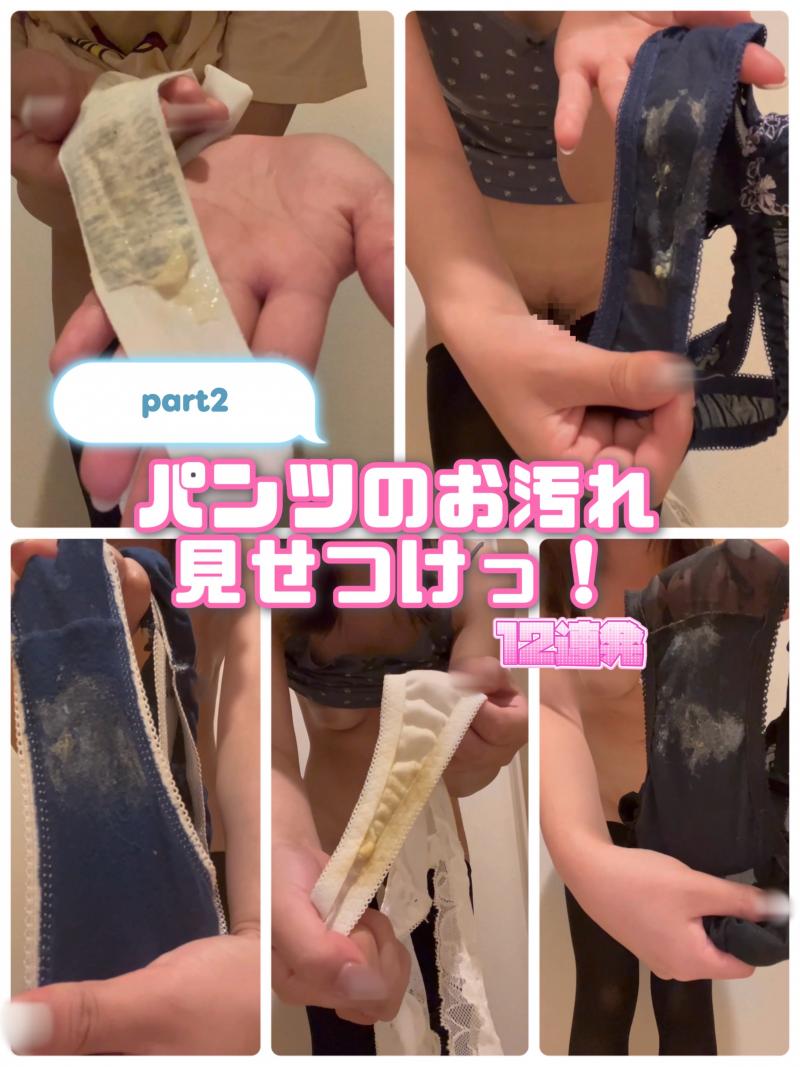 出品者名-写真