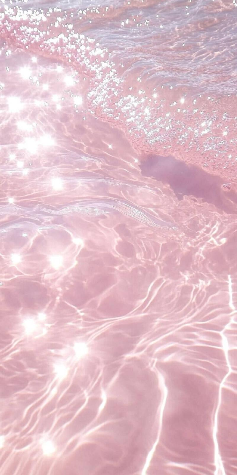 出品者名-写真