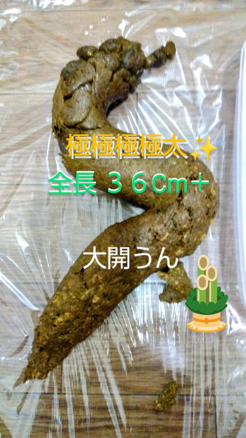 出品者名-写真