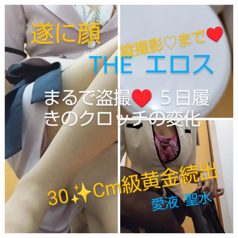 出品者名-写真-1