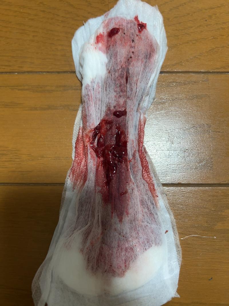 出品者名-写真