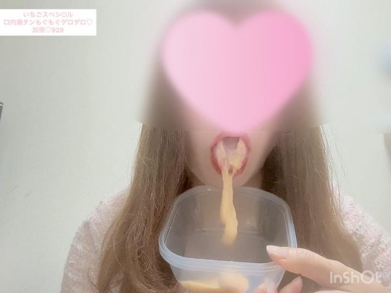 出品者名-写真