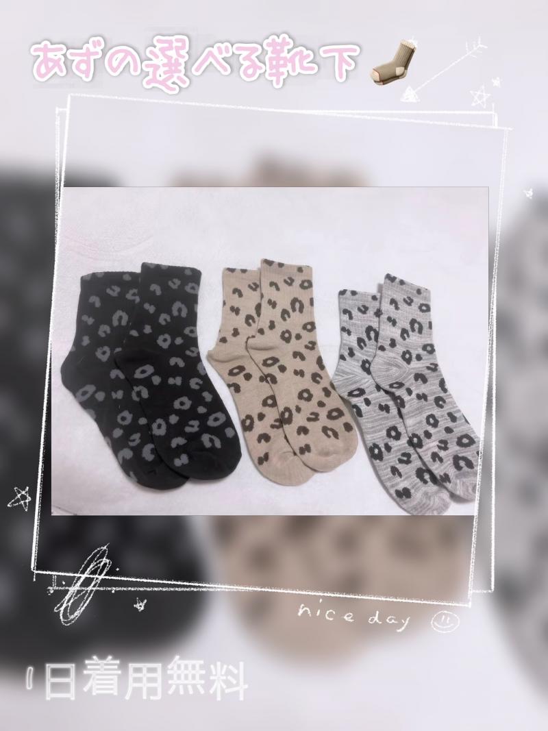 出品者名-写真