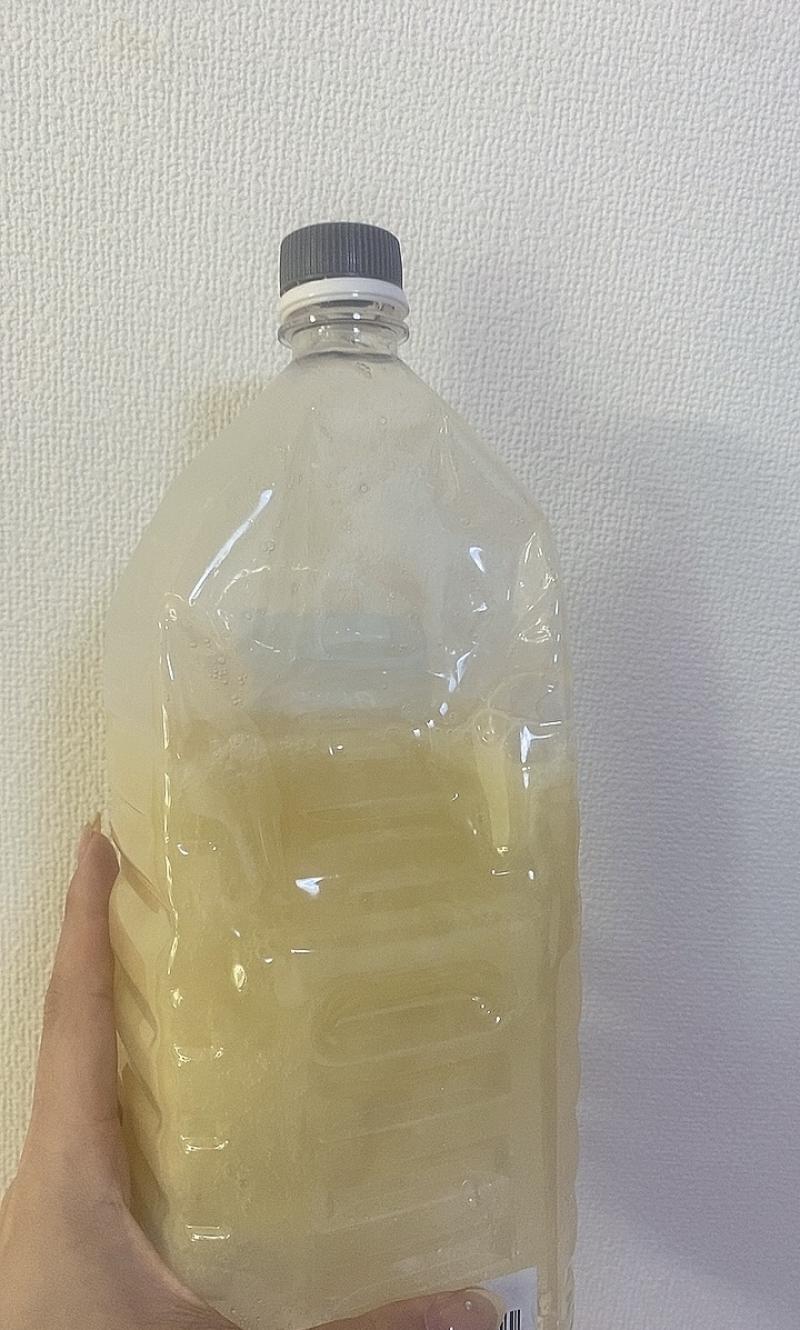 出品者名-写真-1