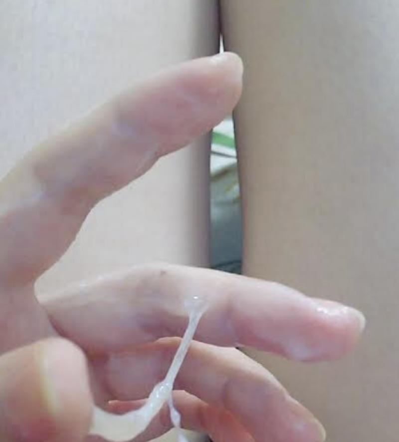 出品者名-写真-1