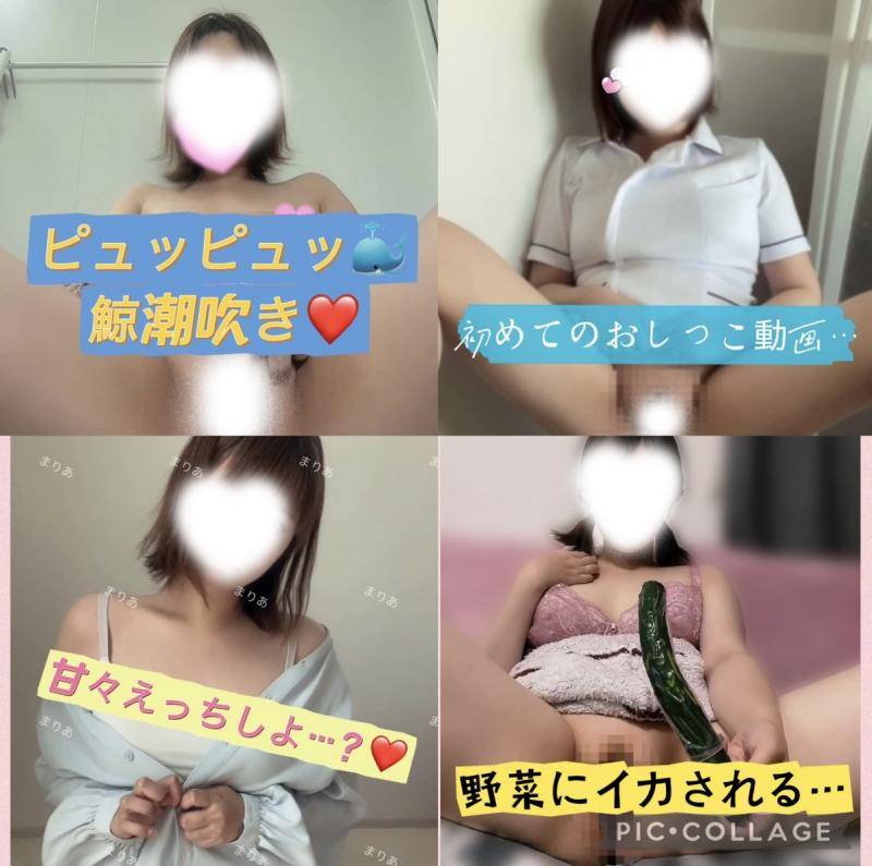 出品者名-写真