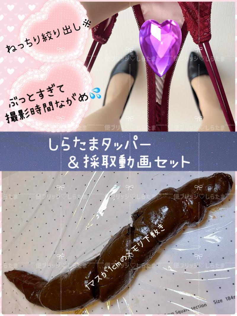 出品者名-写真