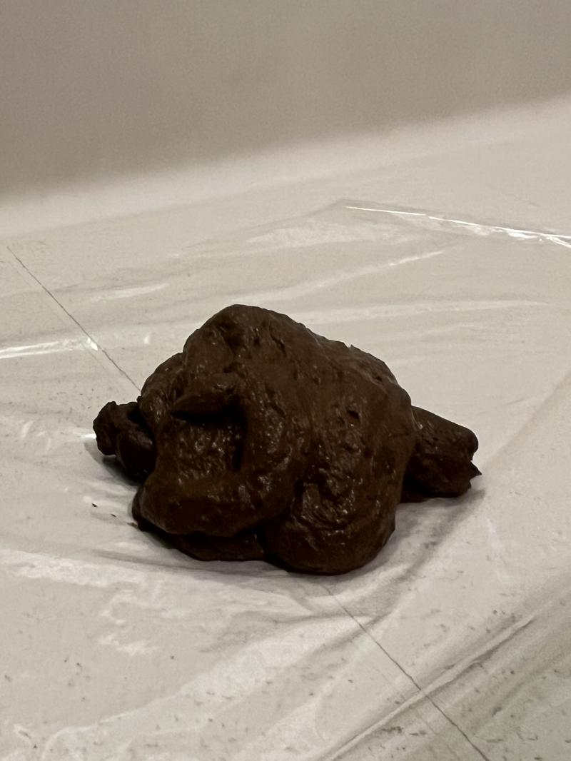 出品者名-写真-1