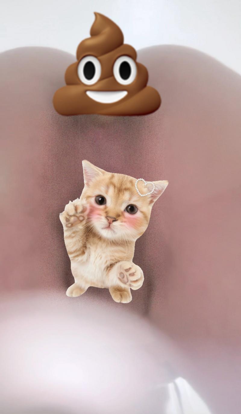 出品者名-写真-1