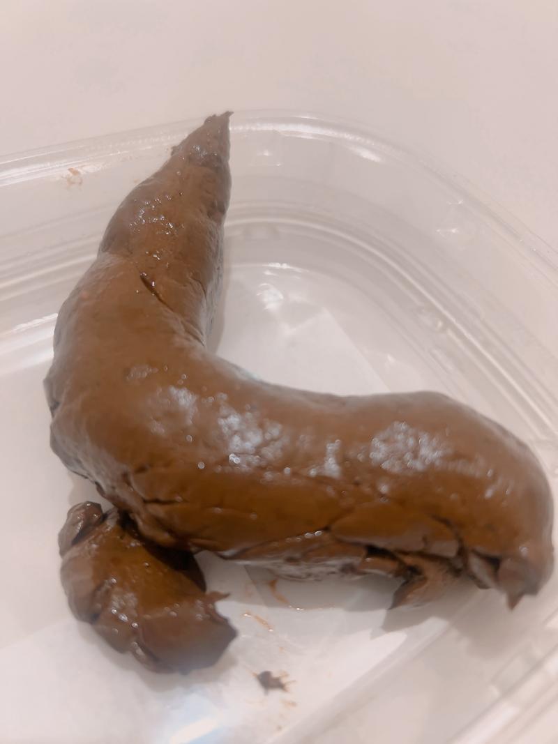 出品者名-写真-1