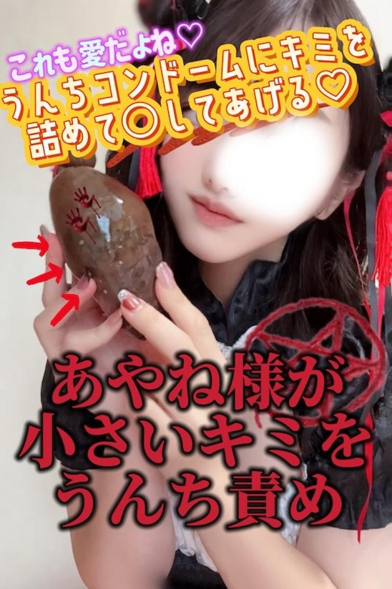 出品者名-写真