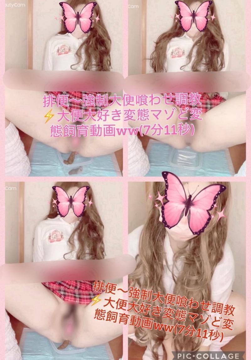 出品者名-写真