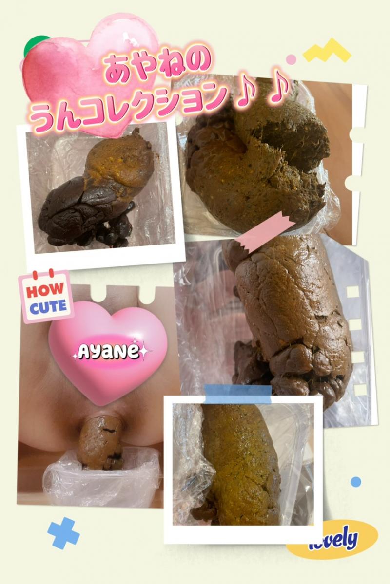 出品者名-写真-1