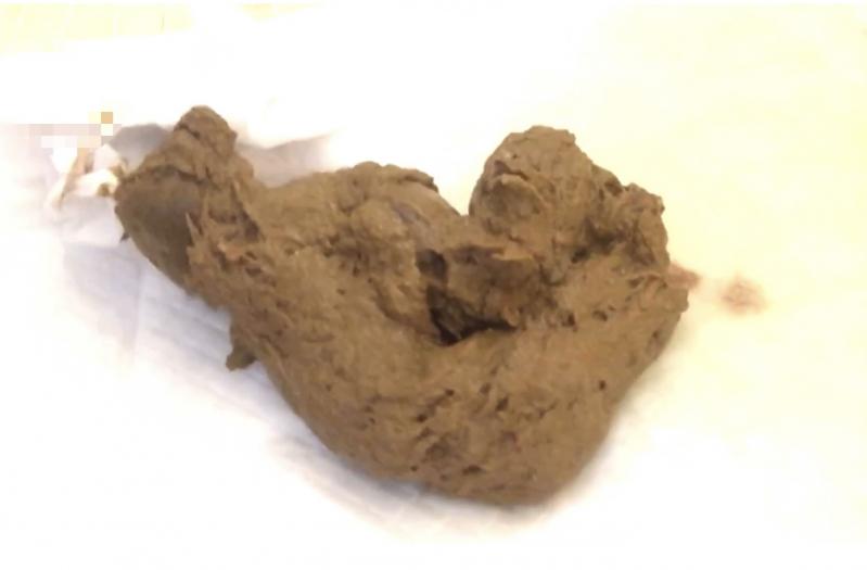 出品者名-写真-1