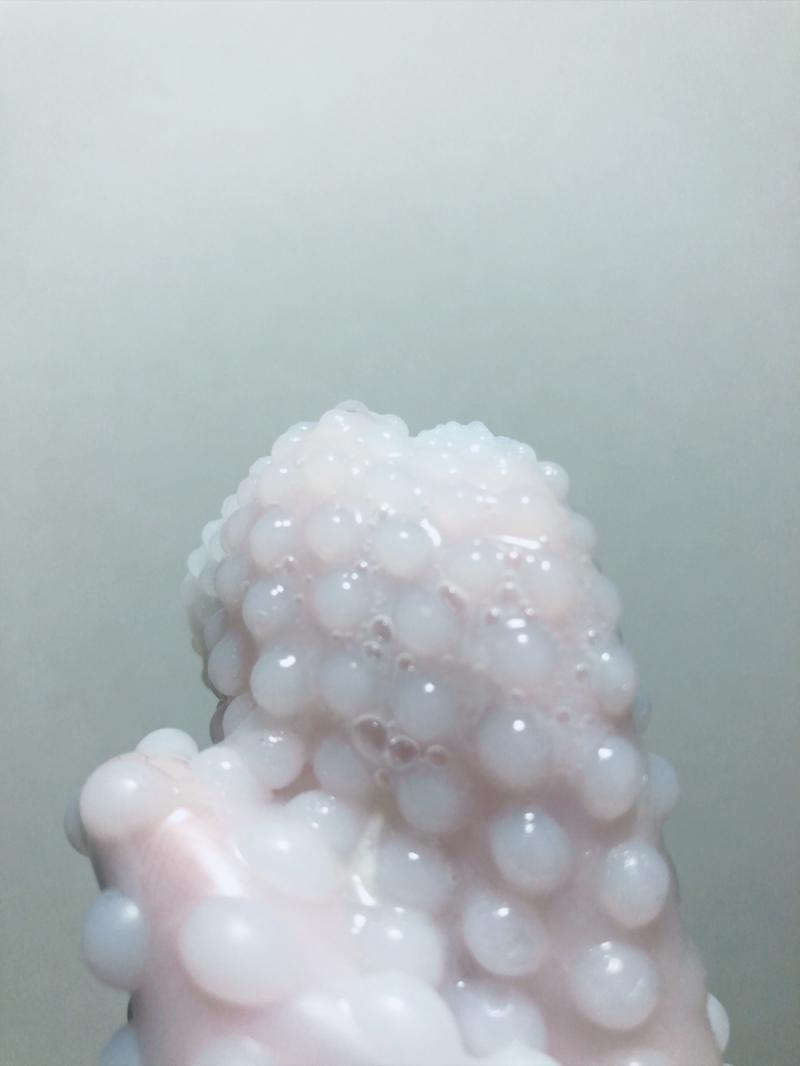 出品者名-写真