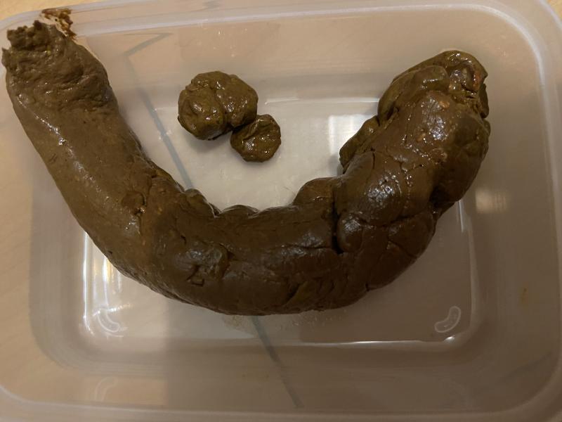 出品者名-写真