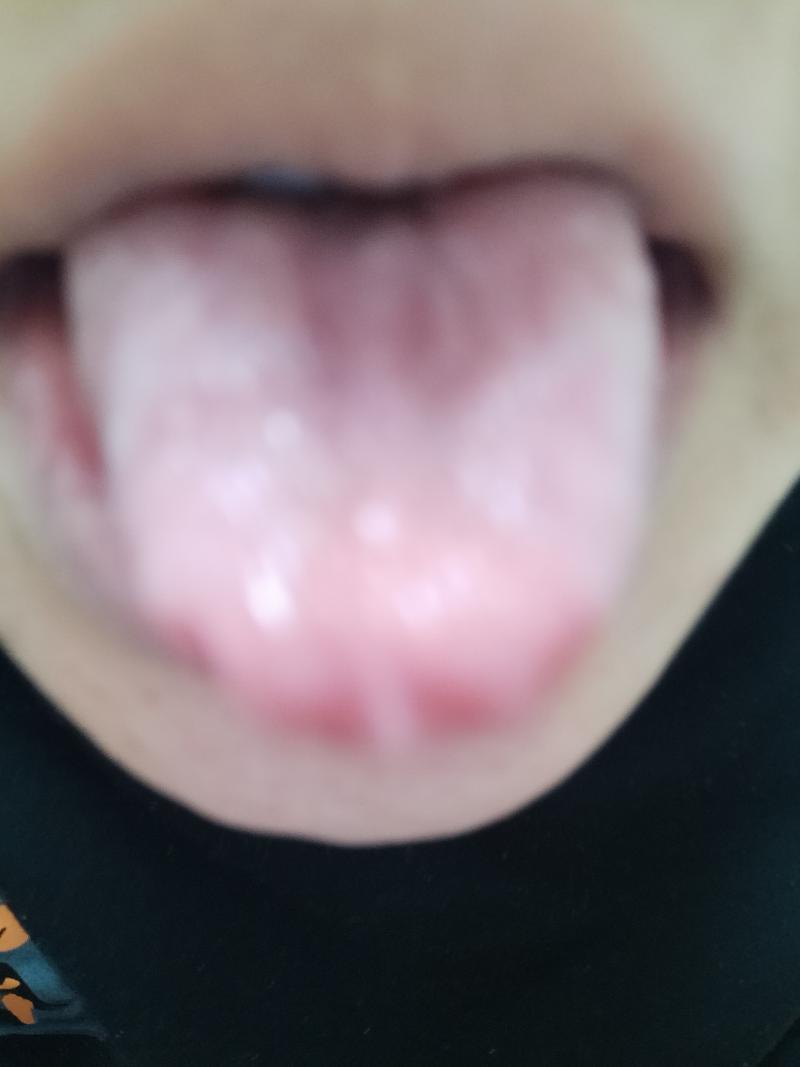 出品者名-写真-1