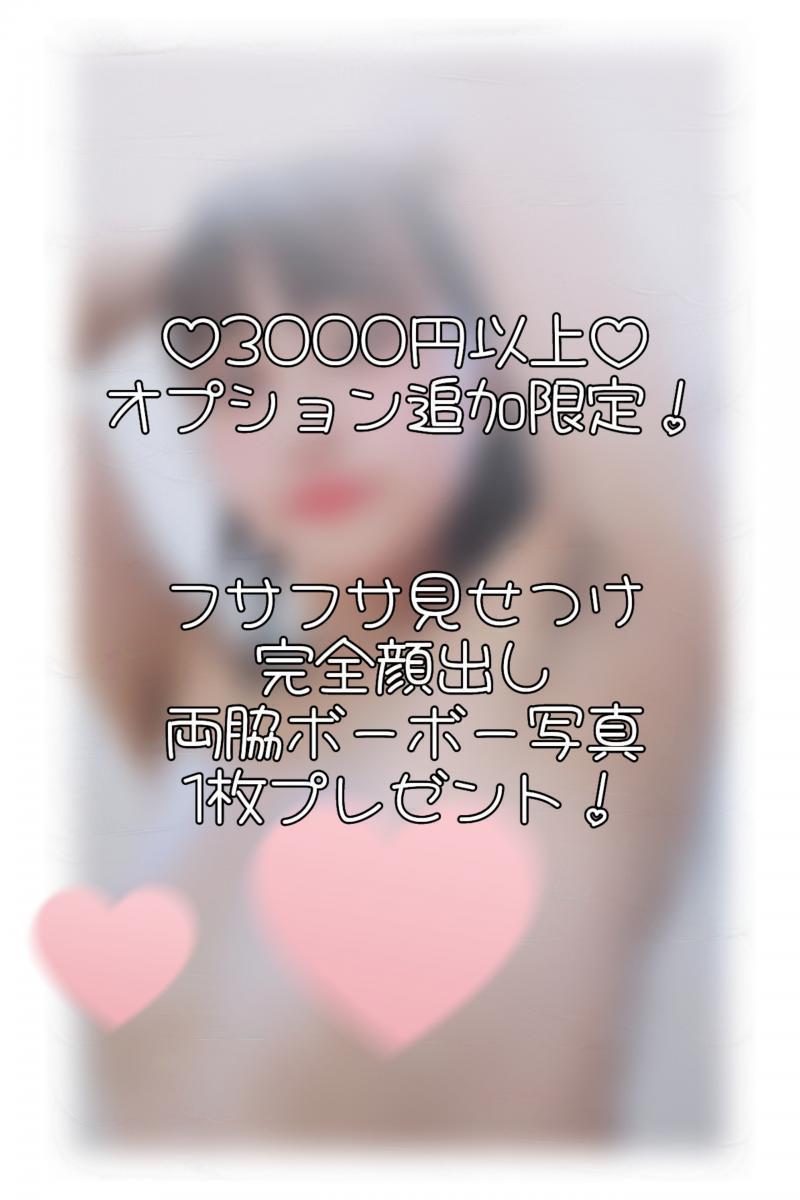 出品者名-写真-1