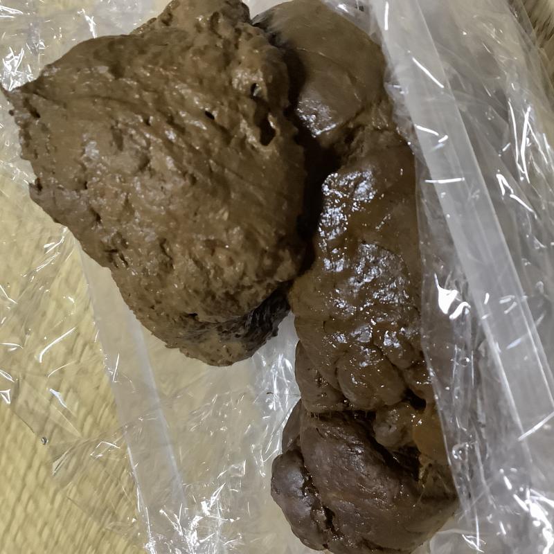 出品者名-写真-1