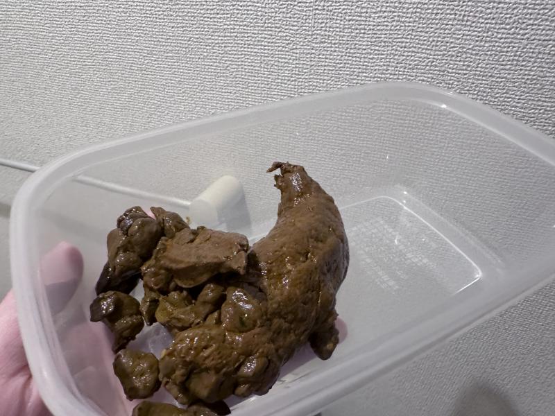 出品者名-写真-1