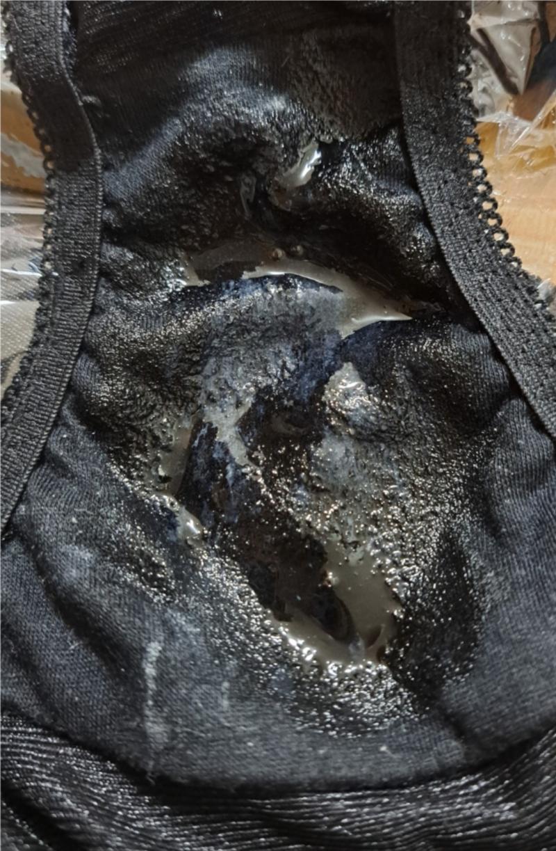 出品者名-写真