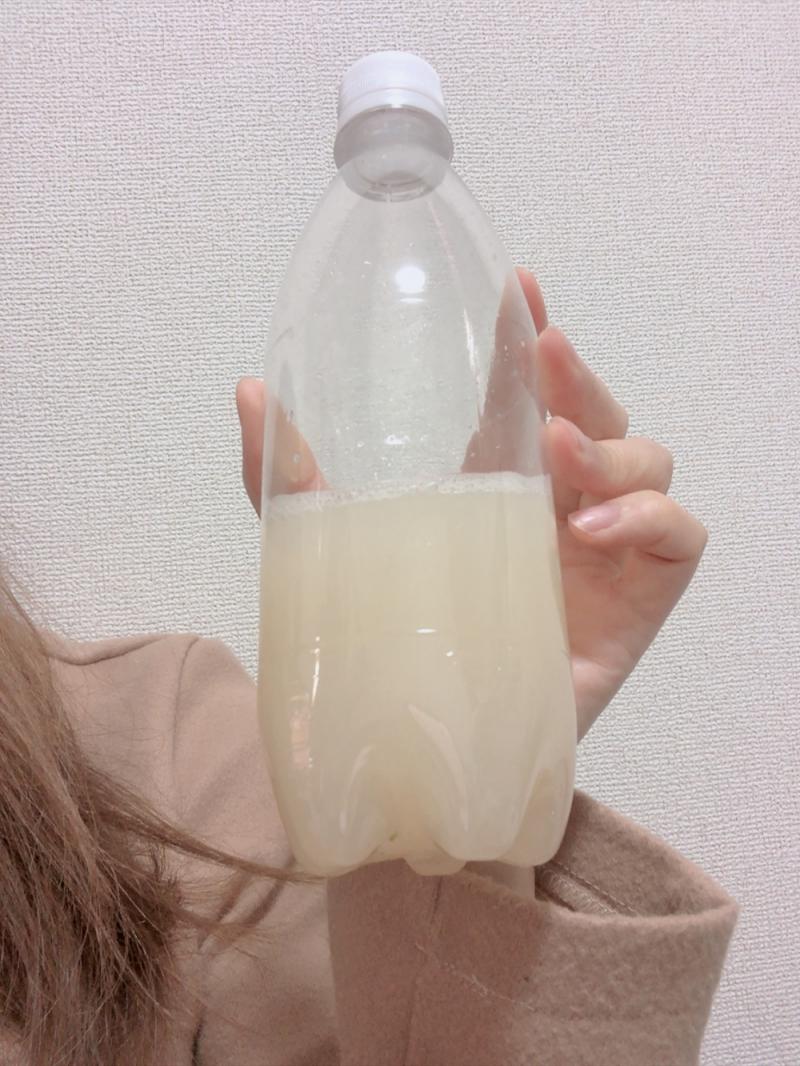 出品者名-写真