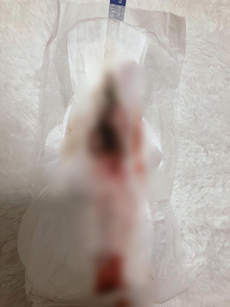 出品者名-写真-1