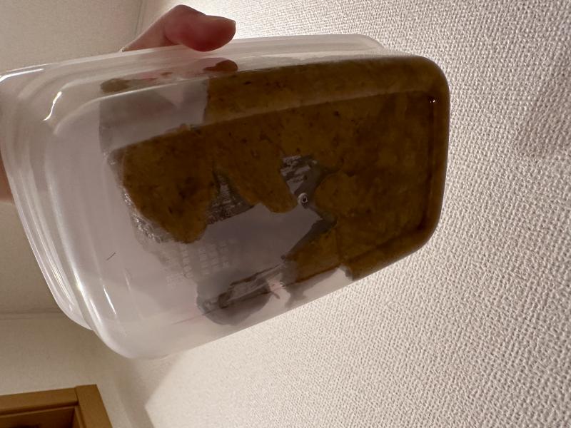 出品者名-写真-1