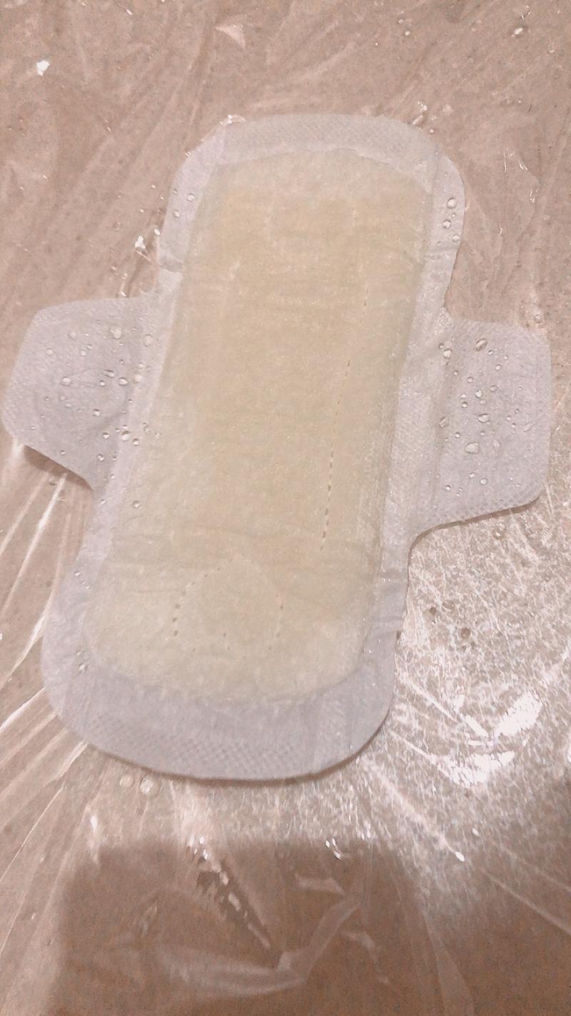 出品者名-写真
