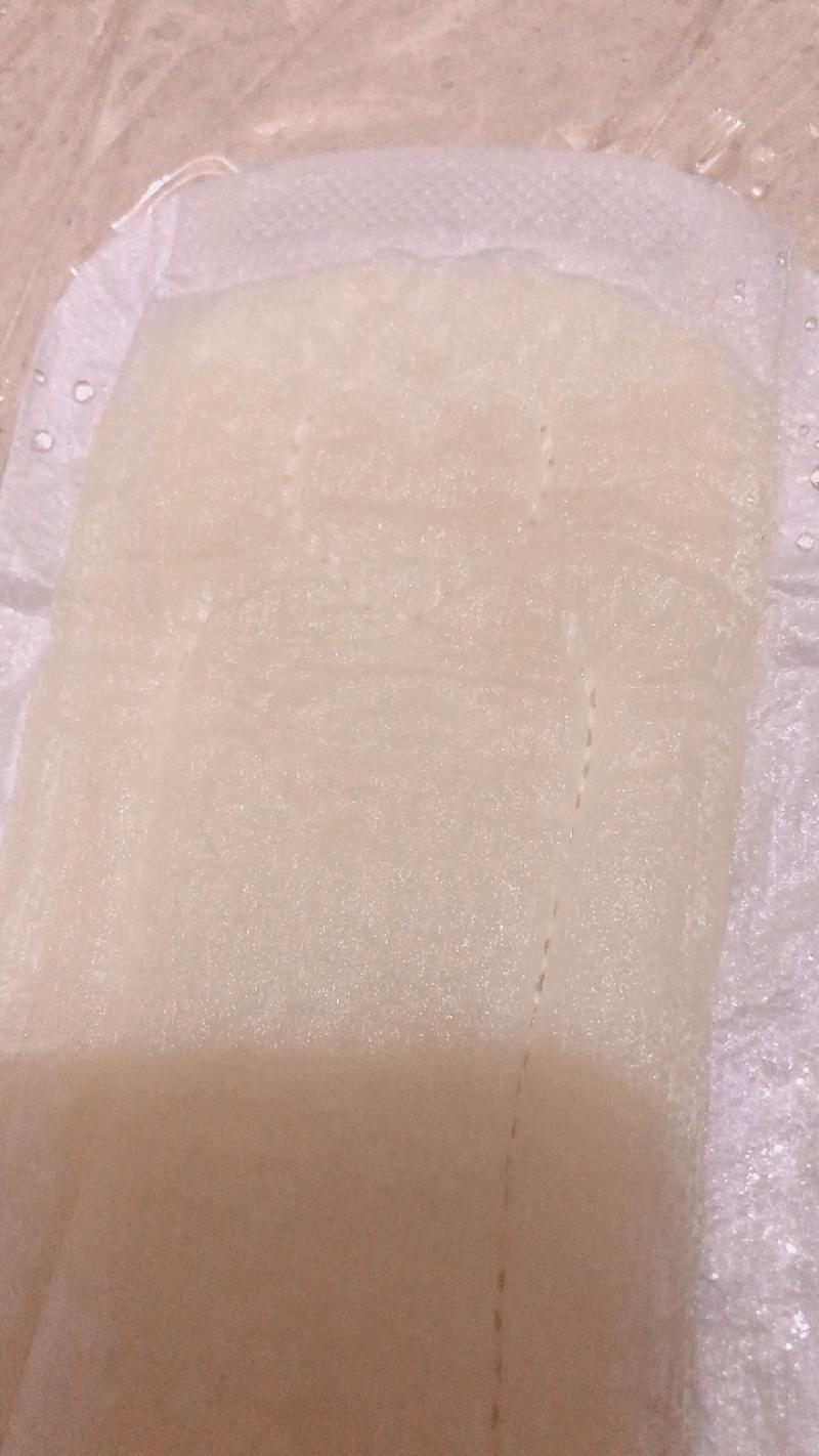 出品者名-写真-1