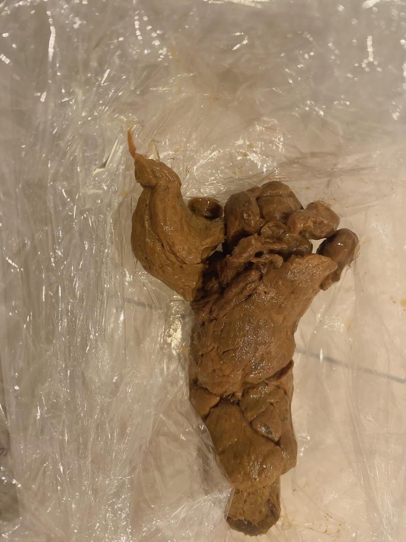 出品者名-写真-1