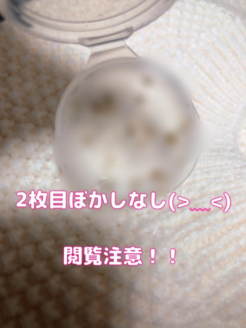 出品者名-写真