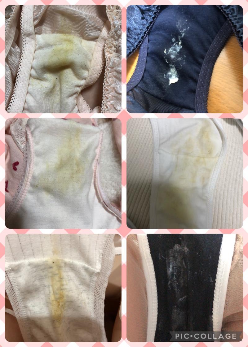 出品者名-写真