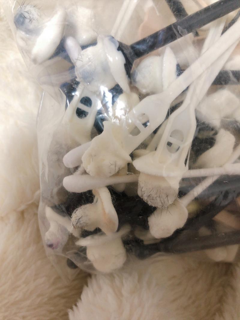 出品者名-写真-1