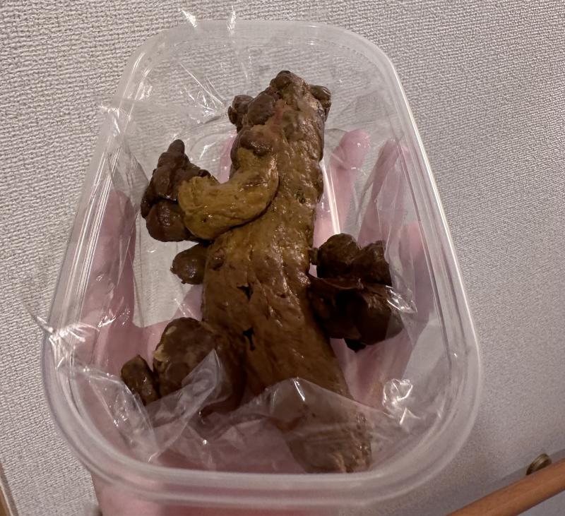 出品者名-写真-1