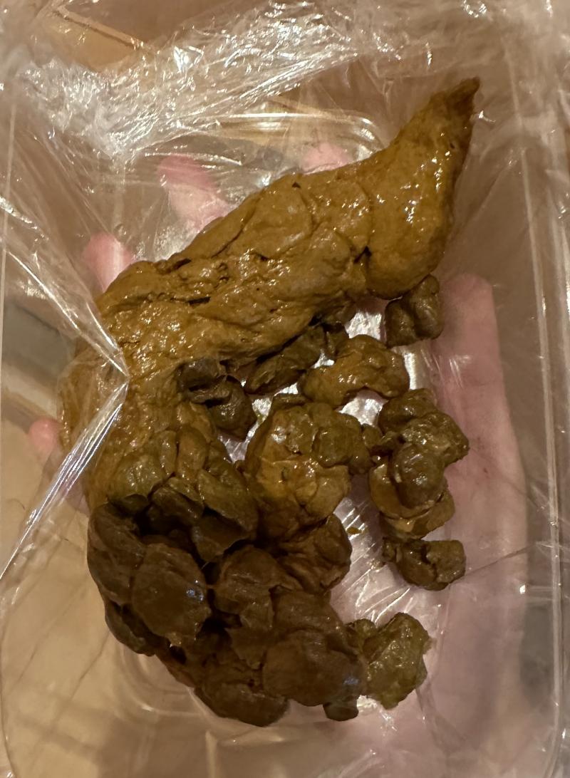 出品者名-写真