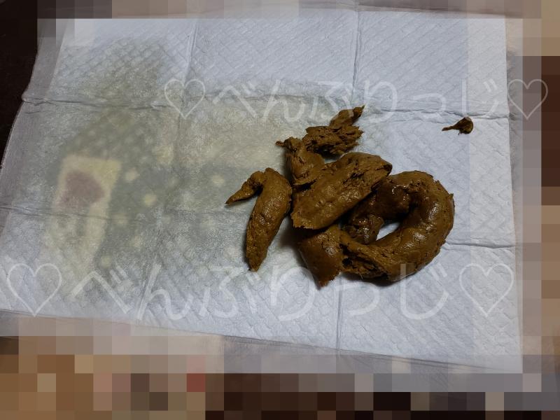 出品者名-写真-1