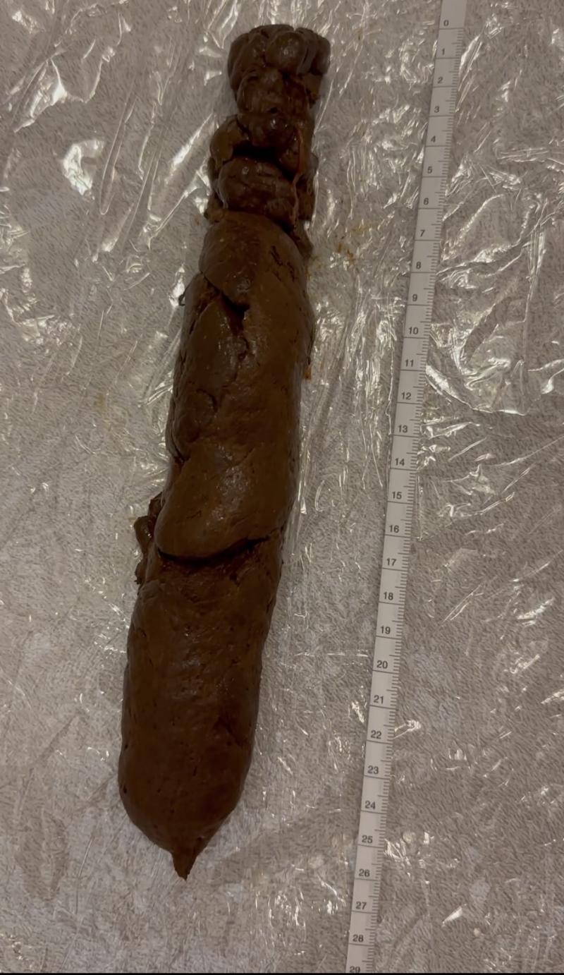 出品者名-写真-1