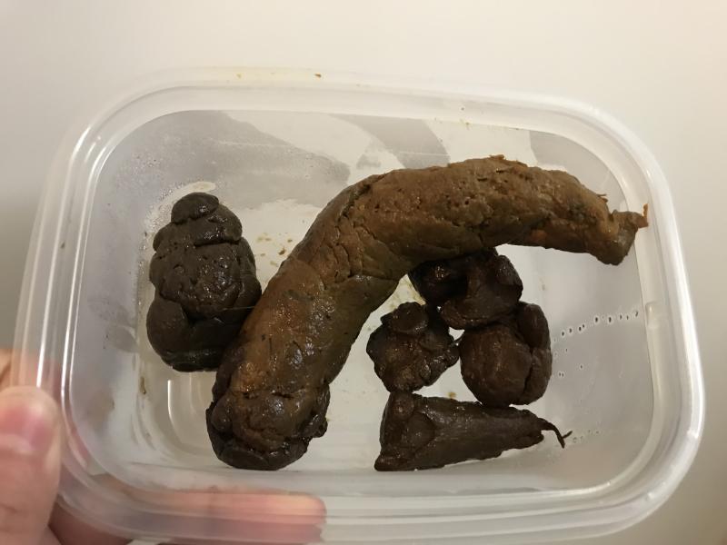 出品者名-写真-1