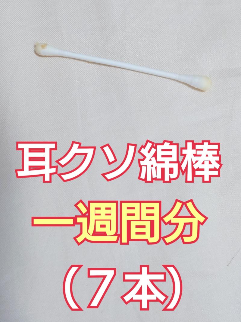 出品者名-写真-1