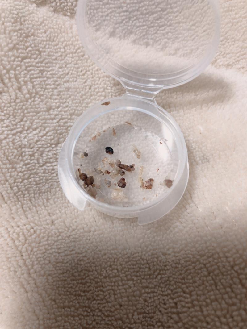 出品者名-写真-1