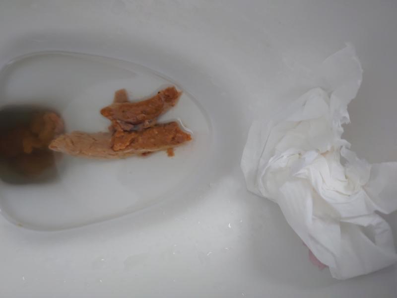 出品者名-写真