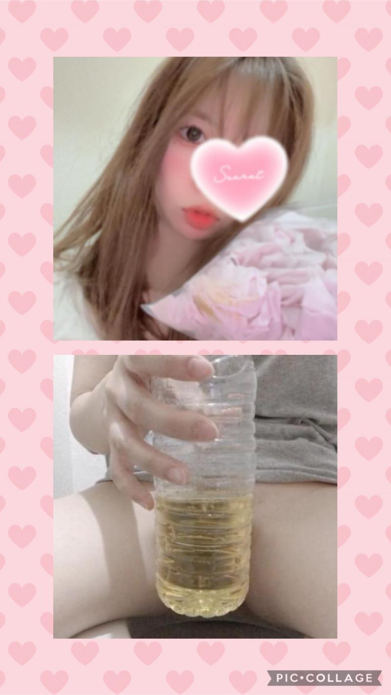 出品者名-写真
