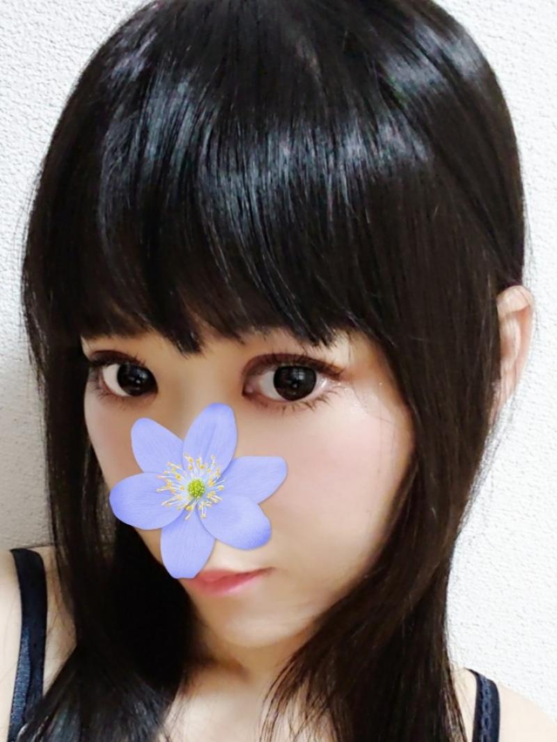 出品者名-写真