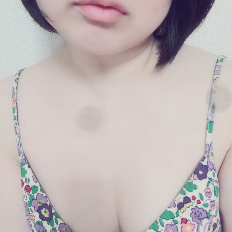 出品者名-写真